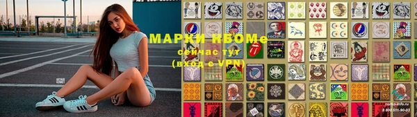 spice Аркадак