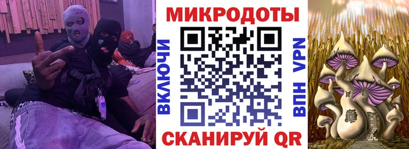 мега ONION  Чебоксары  Псилоцибиновые грибы мухоморы 